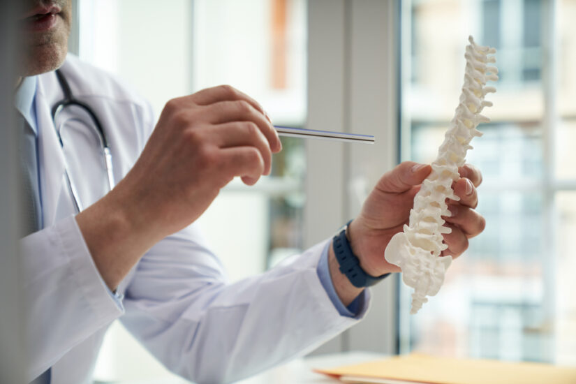 Photo of a Doctor Holding Spine Dummy